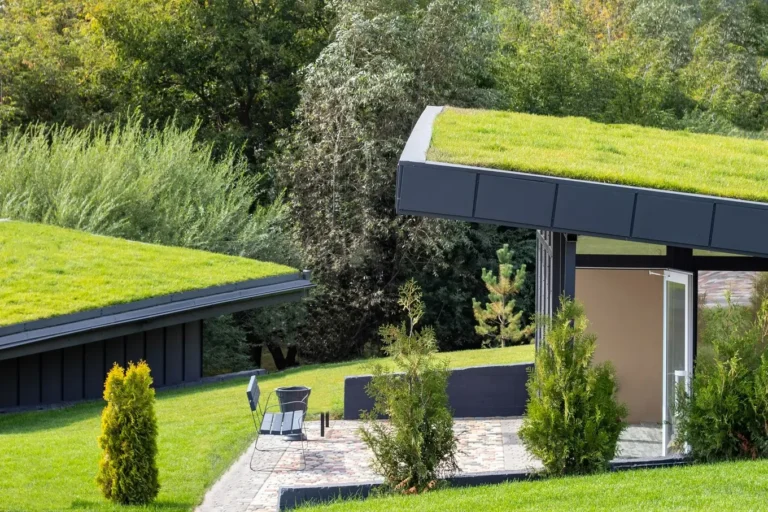 Jak wybrać architekta ekologicznego? Kluczowe przed umową